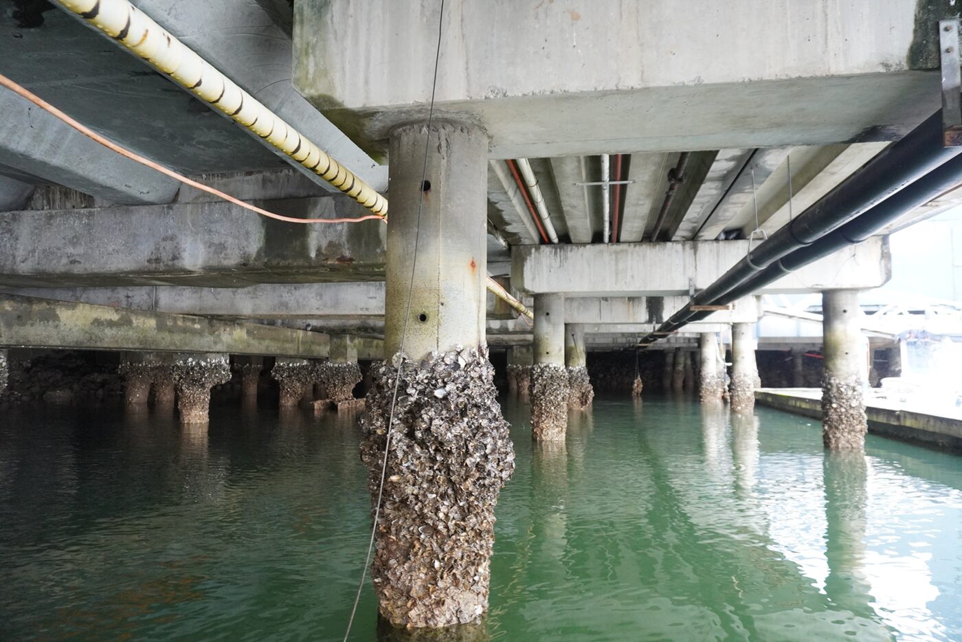 Marina Mirage coastal structural assessment - TRSC